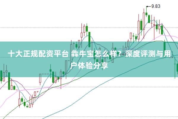 十大正规配资平台 犇牛宝怎么样？深度评测与用户体验分享