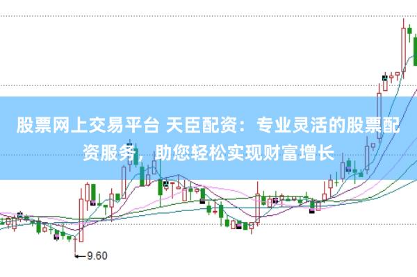 股票网上交易平台 天臣配资：专业灵活的股票配资服务，助您轻松实现财富增长