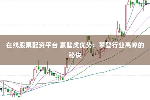 在线股票配资平台 赢壁虎优势：攀登行业高峰的秘诀