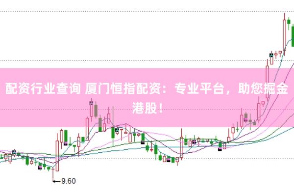 配资行业查询 厦门恒指配资：专业平台，助您掘金港股！