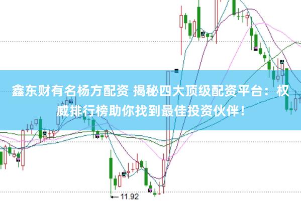 鑫东财有名杨方配资 揭秘四大顶级配资平台：权威排行榜助你找到最佳投资伙伴！