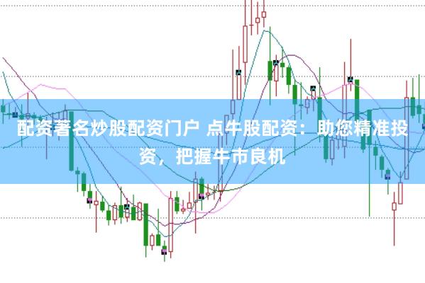配资著名炒股配资门户 点牛股配资：助您精准投资，把握牛市良机