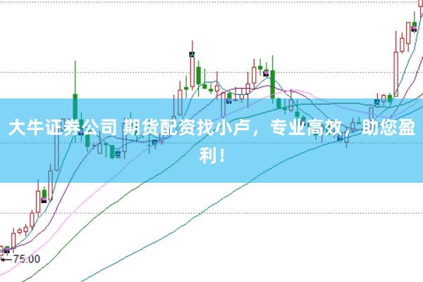 大牛证券公司 期货配资找小卢，专业高效，助您盈利！