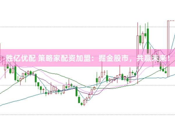 胜亿优配 策略家配资加盟：掘金股市，共赢未来！