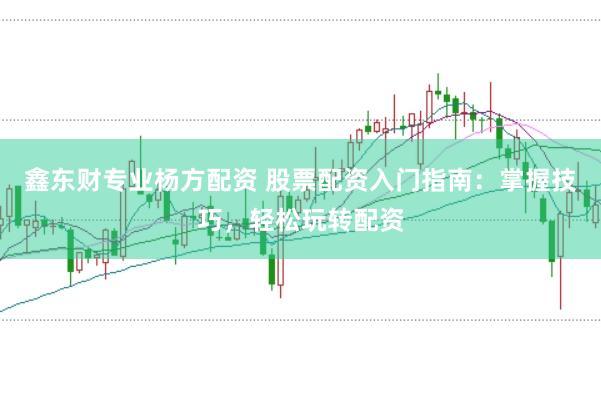 鑫东财专业杨方配资 股票配资入门指南：掌握技巧，轻松玩转配资