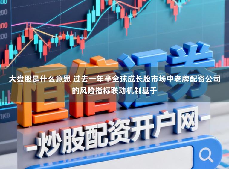 大盘股是什么意思 过去一年半全球成长股市场中老牌配资公司的风险指标联动机制基于