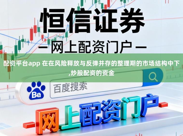 配资平台app 在在风险释放与反弹并存的整理期的市场结构中下,炒股配资的资金